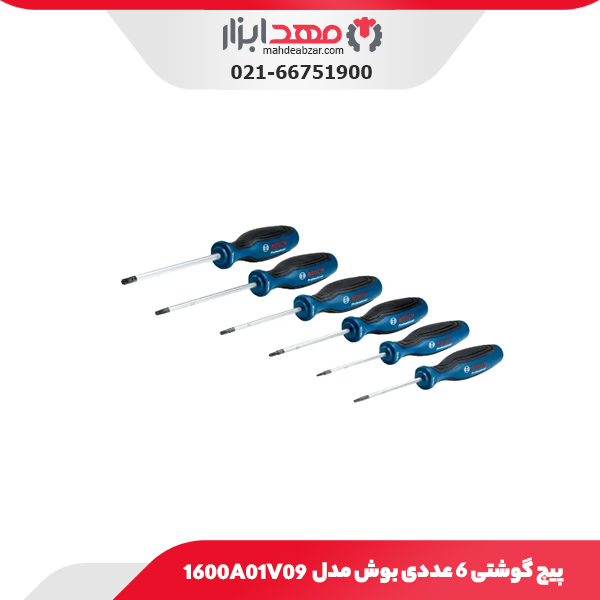پیچ گوشتی 6 عددی بوش مدل 1600A01V09