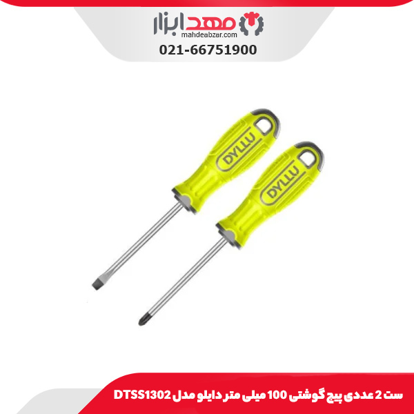 ست 2 عددی پیچ گوشتی 100 میلی متر دایلو مدل DTSS1302